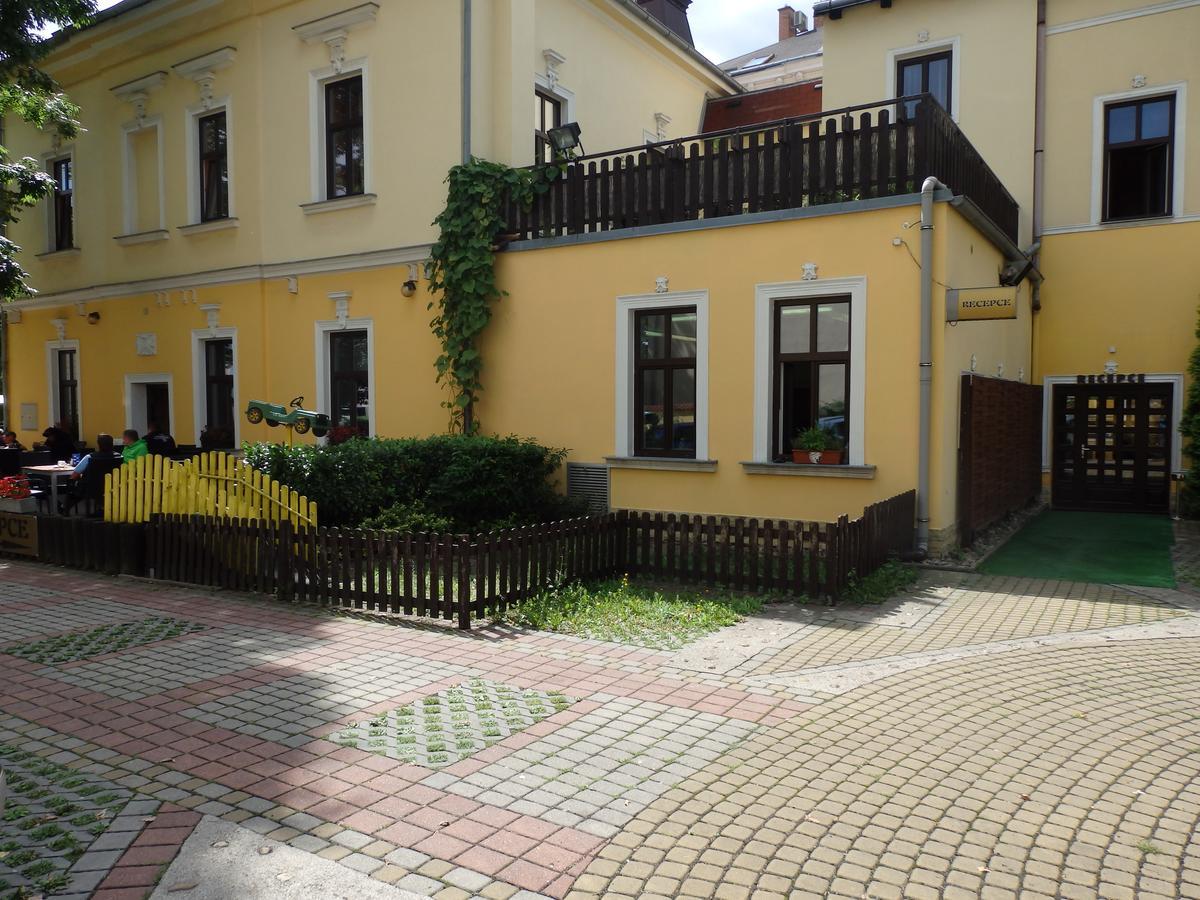 Hotel Zlaty Kriz Теплице Экстерьер фото